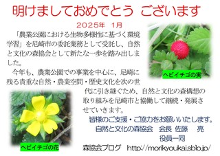 1.1- 2025NF֌Wҗp.jpg