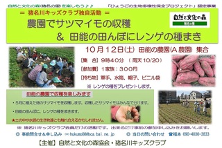 10.12キッズ:薩摩芋.jpg