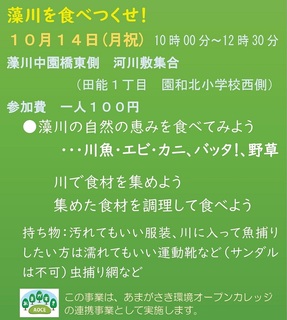 10.14藻川を.jpg