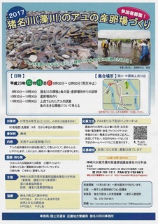 10.15アユ産卵場づくり.jpg