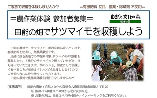 10.19サツマイモ収穫体験1.jpg