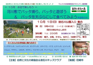 10.1水辺:バッタ捕り.jpg