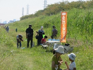 10.6ob^.JPG