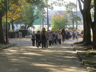 11.JPG