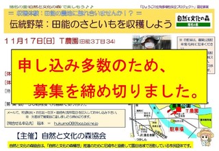 11.17I[o[.jpg