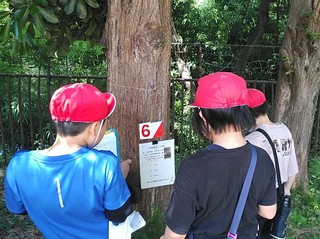 14.JPG