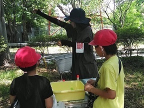 16.JPG
