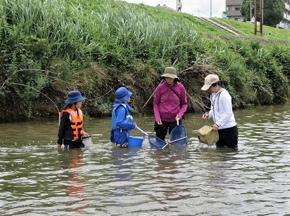 水辺で楽しもう2023：藻川で生き物さがし＆川流れを楽しみました: 自然と文化の森協会