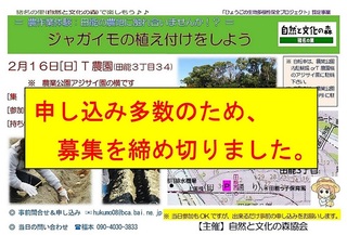 2.16I[o[.jpg