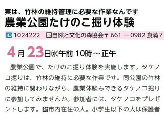 4.23たけのこ掘り:市報原稿11.jpg