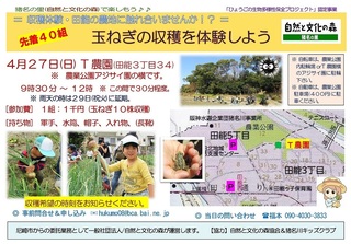 4.27玉ねぎ収穫ご案内.jpg