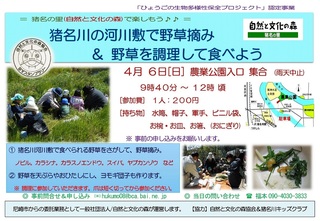 4.6野草を食べよう:ご案内.jpg