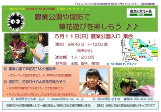 5.11草花遊びを楽しもう:ご案内.jpg