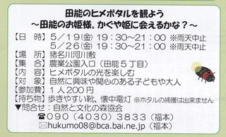 5.19,26ヒメボ.jpg