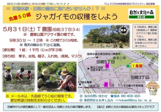 5.31ジャガイモ収穫体験ご案内.jpg