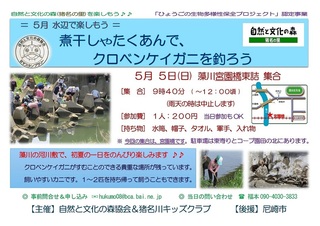 5.5水辺:カニ.jpg