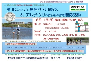 6.1藻川で魚捕りご案内.jpg
