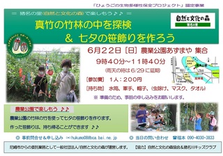 6.22七夕の笹飾り作り:ご案内.jpg