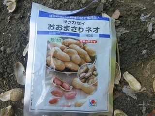 7.JPG