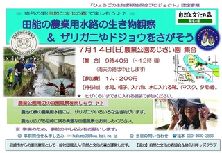 7.14水路の生き物さがし:ご案内.jpg