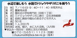 7.16水路でドジョウ.jpg