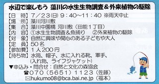 7.23水辺.jpg