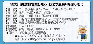 7.30セミ.jpg