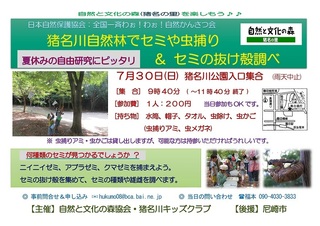 7.30セミの抜け殻調べ.jpg