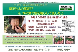 9.10自然林:木の葉で遊ぼう案内.jpg