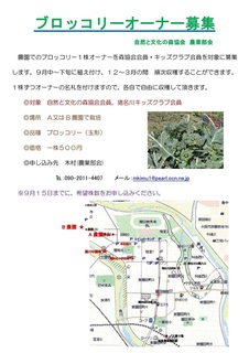 9.15ブロッコリーオーナー募集案内.jpg