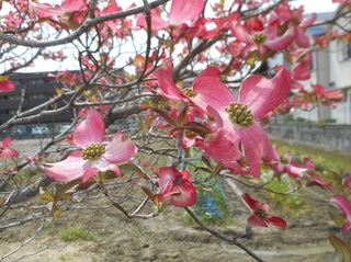 DSCN0548.JPG