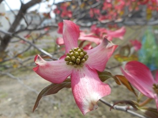 DSCN0549.JPG