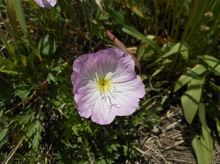 DSCN0609.JPG