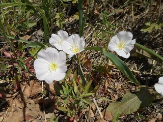 DSCN0611.JPG
