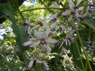 DSCN0643.JPG