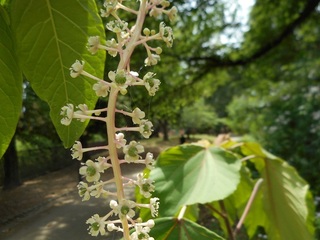 DSCN0762.JPG
