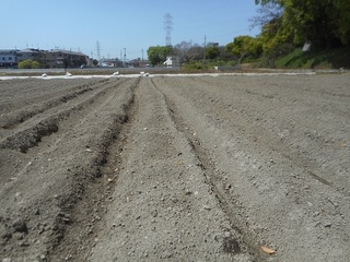DSCN2417.JPG