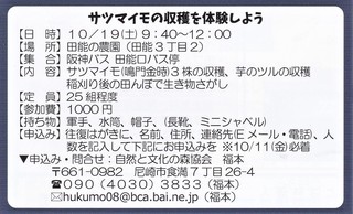 サツマイモ収穫体験.jpg