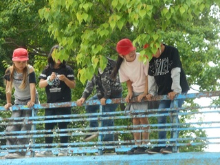 W.JPG