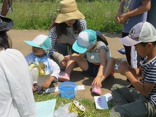 IMG_0987.JPG