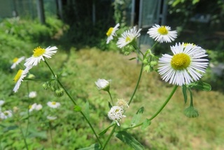 IMG_1149.JPG