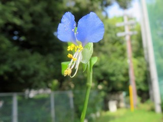 IMG_1595.JPG