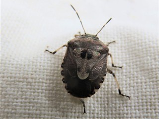IMG_1894.JPG