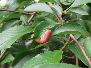 IMG_2879.JPG