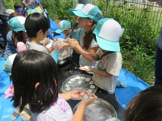 IMG_2895.JPG