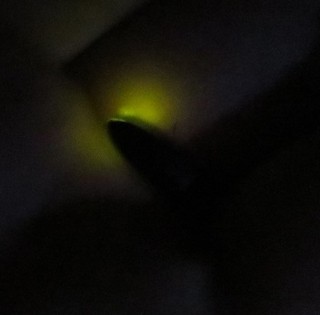 IMG_2909.JPG