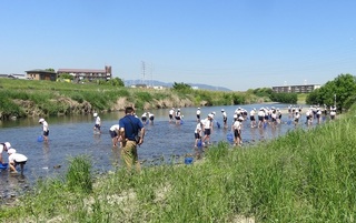 IMG_2916.JPG