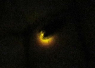 IMG_3005.JPG
