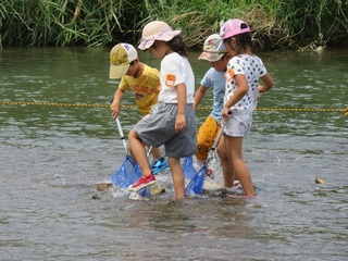 IMG_3450.JPG