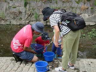 IMG_3463.JPG